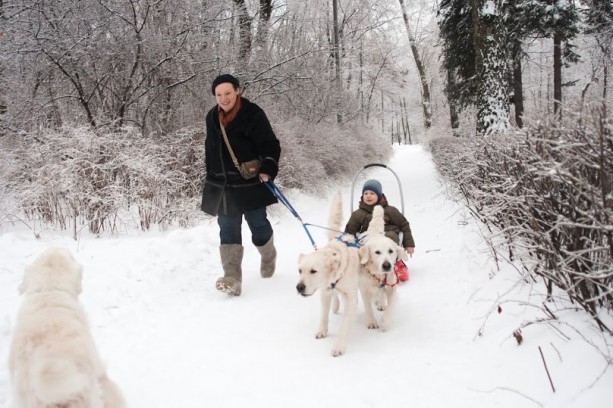 Комплексная реабилитация