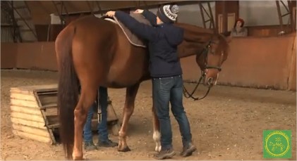 Поперечный просек, 11, (Иппотерапия и АВЕ)