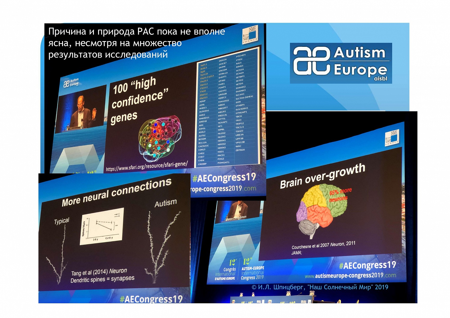 Система непрерывного межведомственного сопровождения
